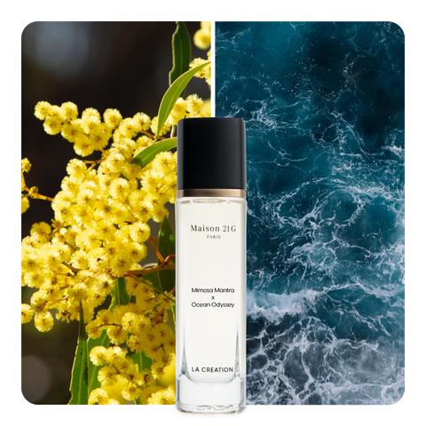 Nước hoa Mimosa Mantra x Ocean Odyssey
