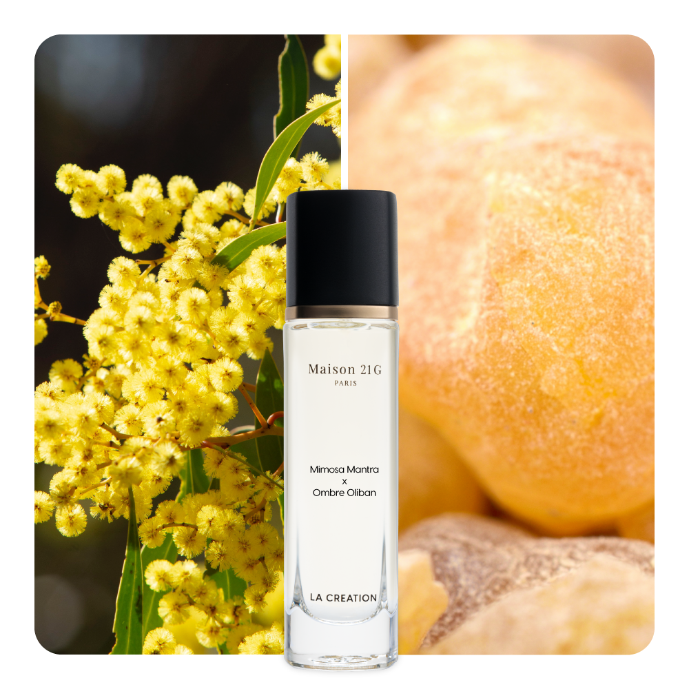 Nước hoa Mimosa Mantra x Ombre Oliban