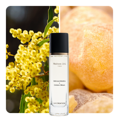 Nước hoa Mimosa Mantra x Ombre Oliban