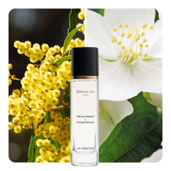 Nước hoa Mimosa Mantra x Orange Blossom