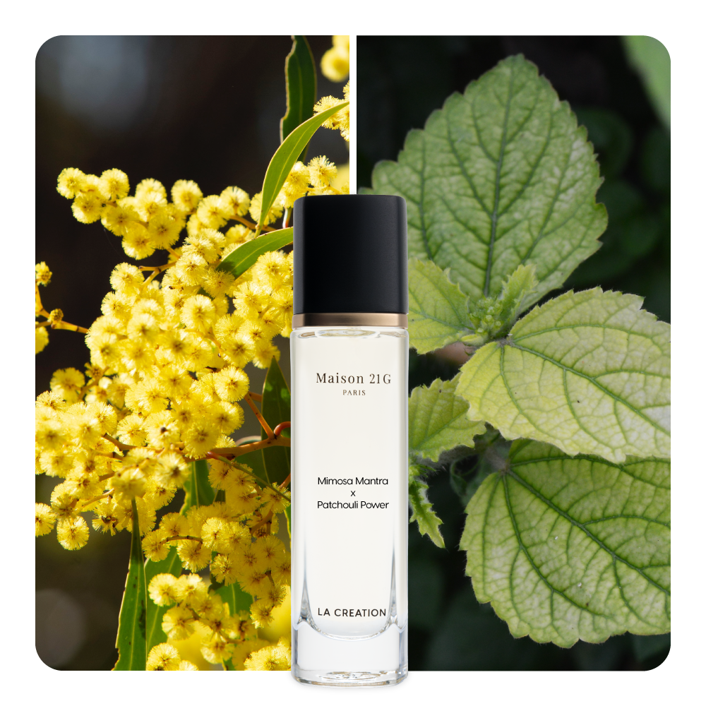 Nước hoa Mimosa Mantra x Patchouli Power