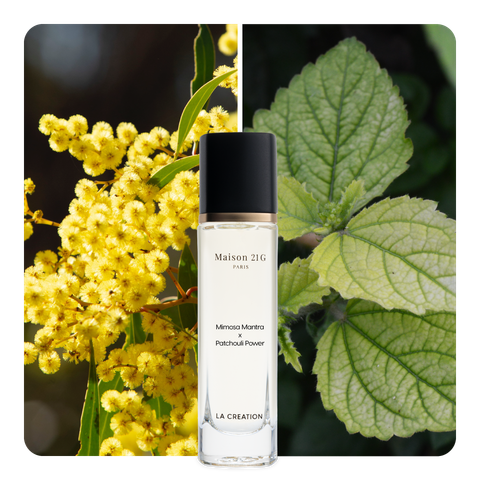 Nước hoa Mimosa Mantra x Patchouli Power