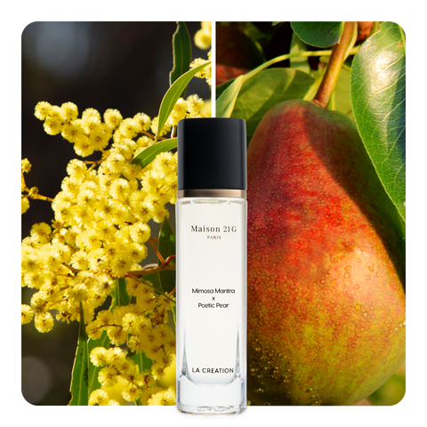 Nước hoa Mimosa Mantra x Poetic Pear