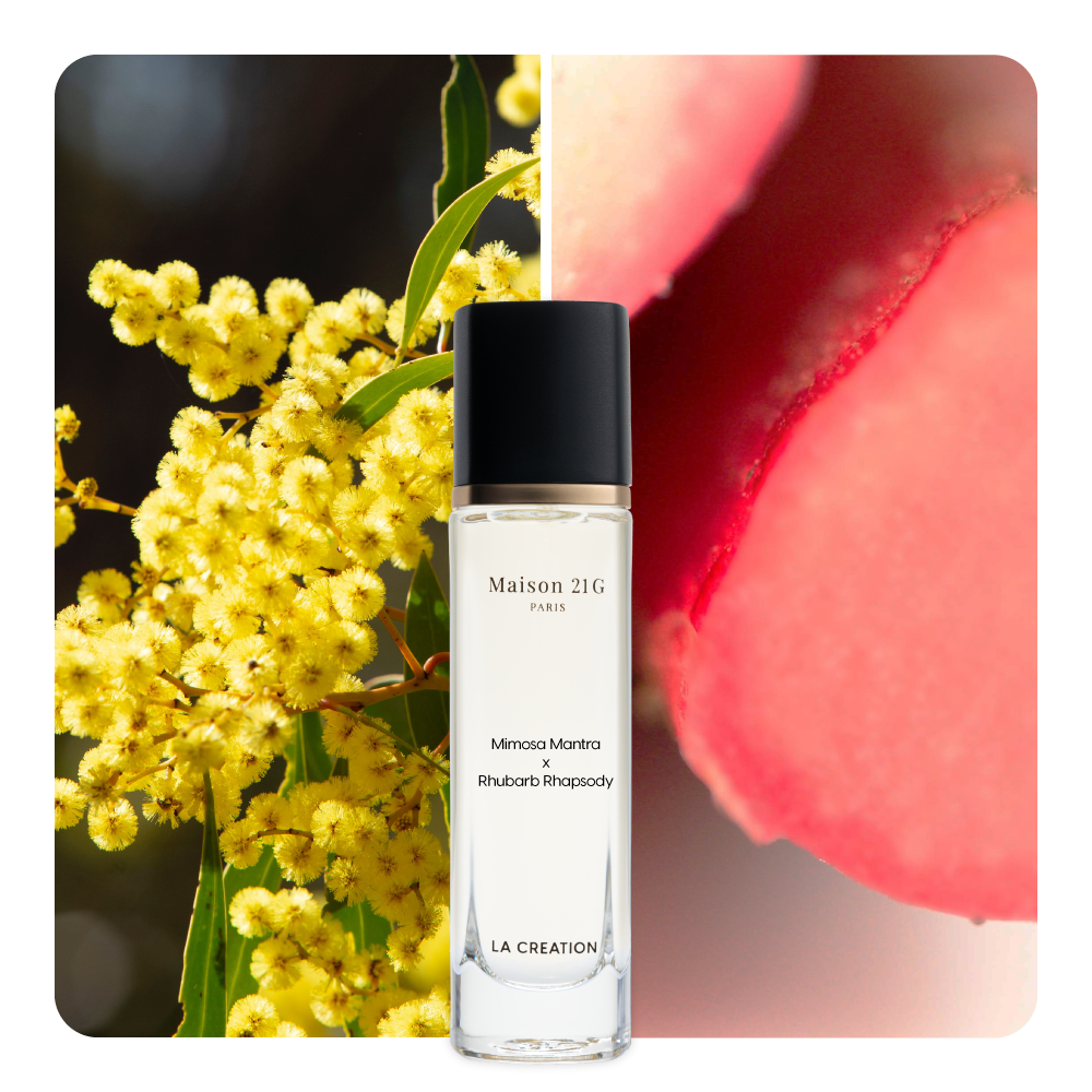 Nước hoa Mimosa Mantra x Rhubarb Rhapsody