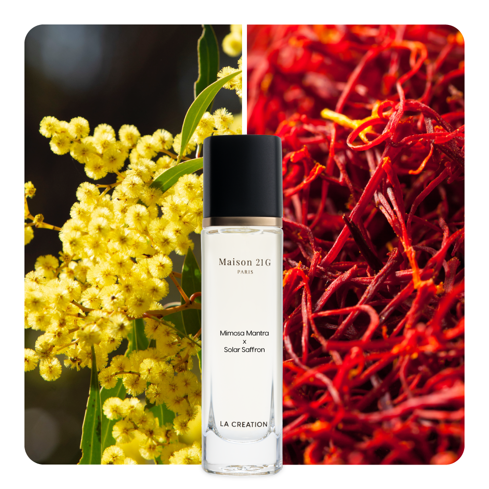 Nước hoa Mimosa Mantra x Solar Saffron