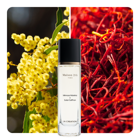Nước hoa Mimosa Mantra x Solar Saffron