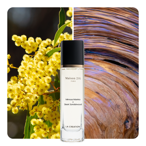 Nước hoa Mimosa Mantra x Sleek Sandalwood