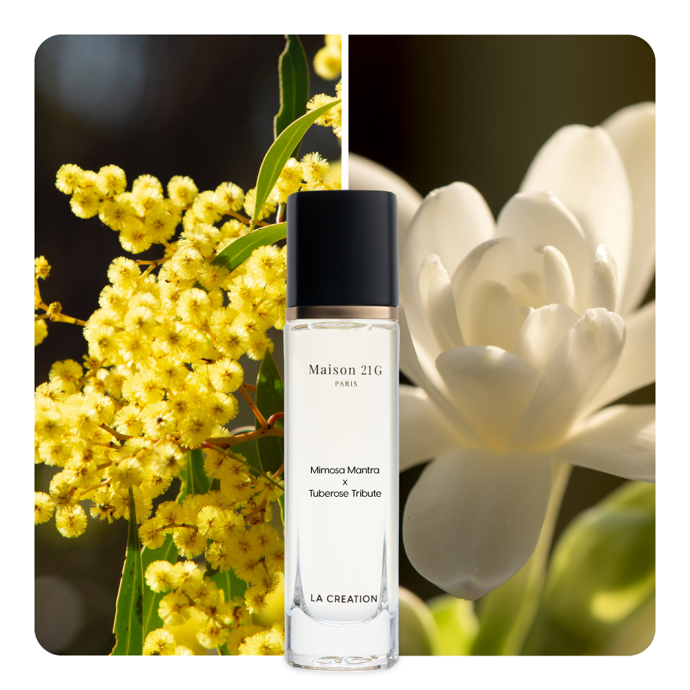 Nước hoa Mimosa Mantra x Tuberose Tribute