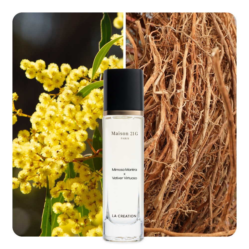 Nước hoa Mimosa Mantra x Vetiver Virtuoso