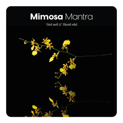 Nước hoa Mimosa Mantra