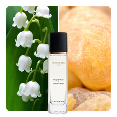 Nước hoa Muguet Muse x Ombre Oliban