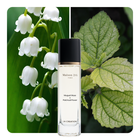 Nước hoa Muguet Muse x Patchouli Power