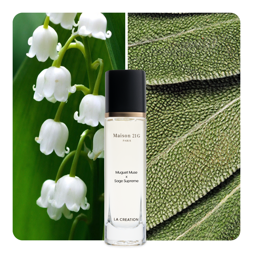Nước hoa Muguet Muse x Sage Supreme