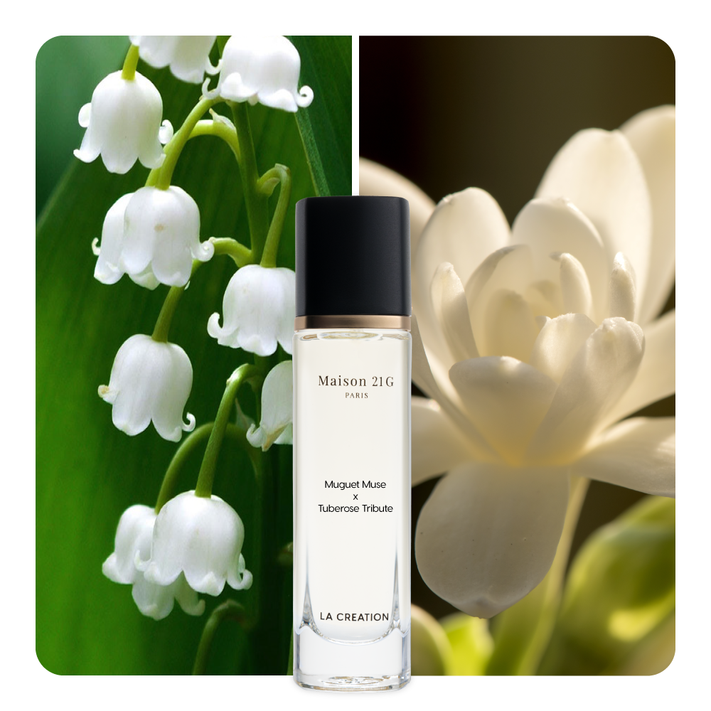 Nước hoa Muguet Muse x Tuberose Tribute