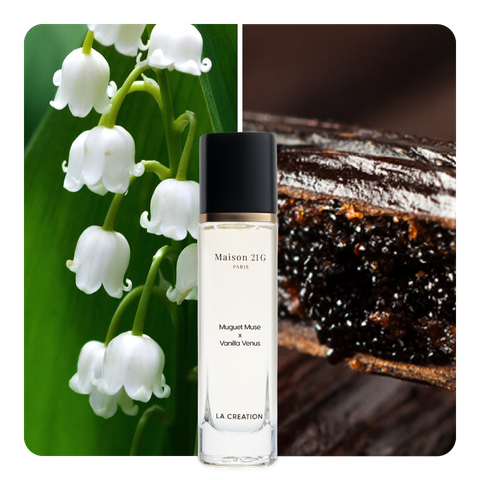 Nước hoa Muguet Muse x Vanilla Venus