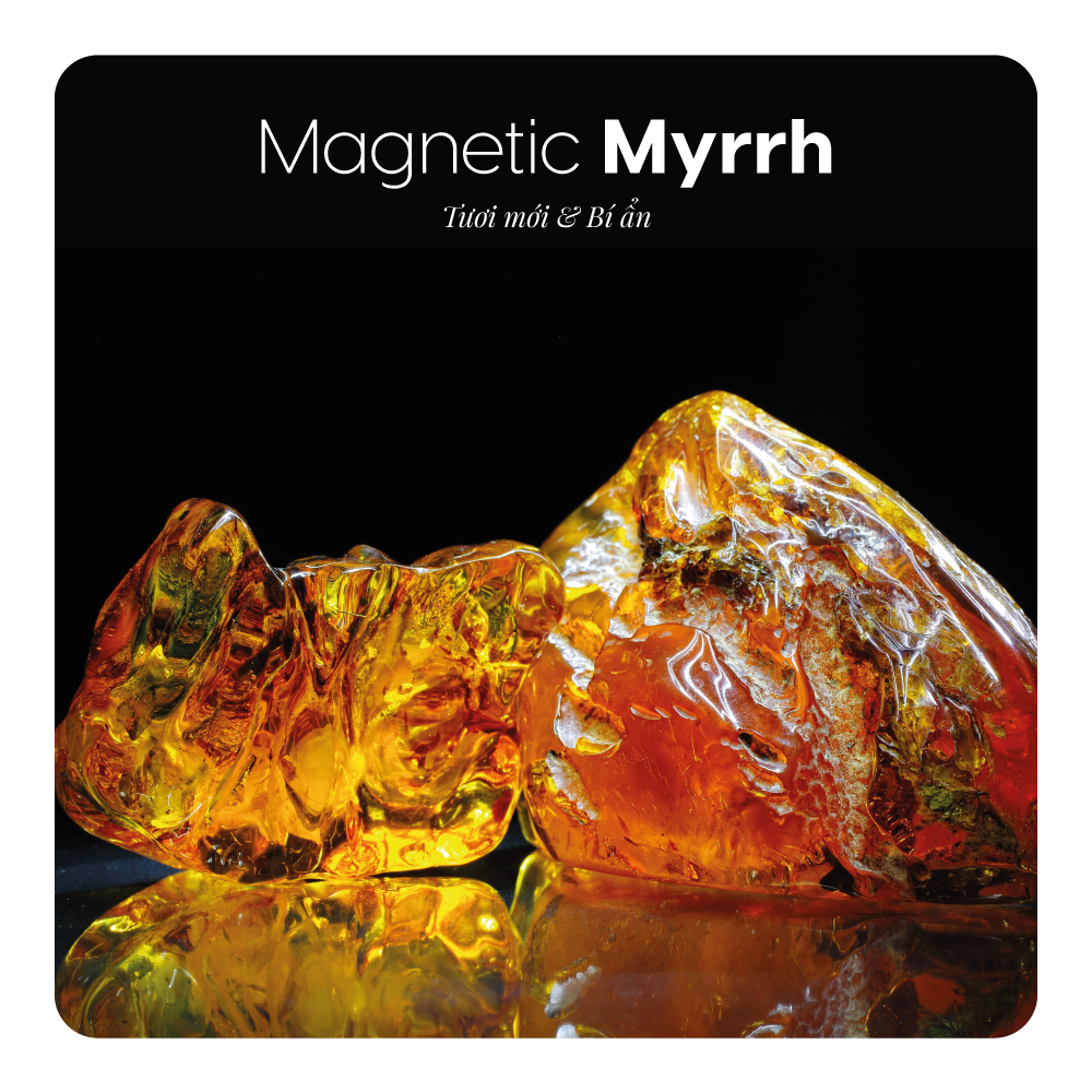 Nước hoa Magnetic Myrrh