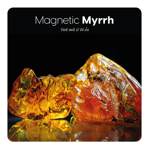 Nước hoa Magnetic Myrrh