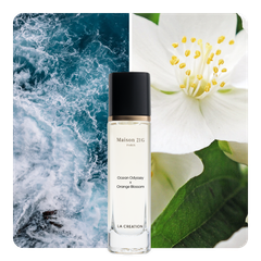 Nước hoa Ocean Odyssey x Orange Blossom