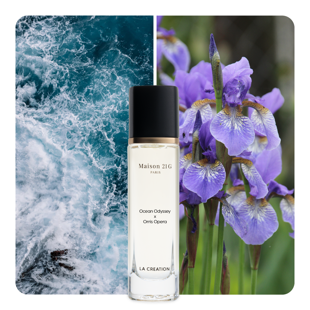 Nước hoa Ocean Odyssey x Orris Opera