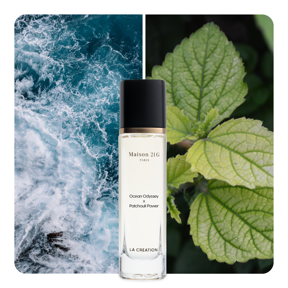 Nước hoa Ocean Odyssey x Patchouli Power