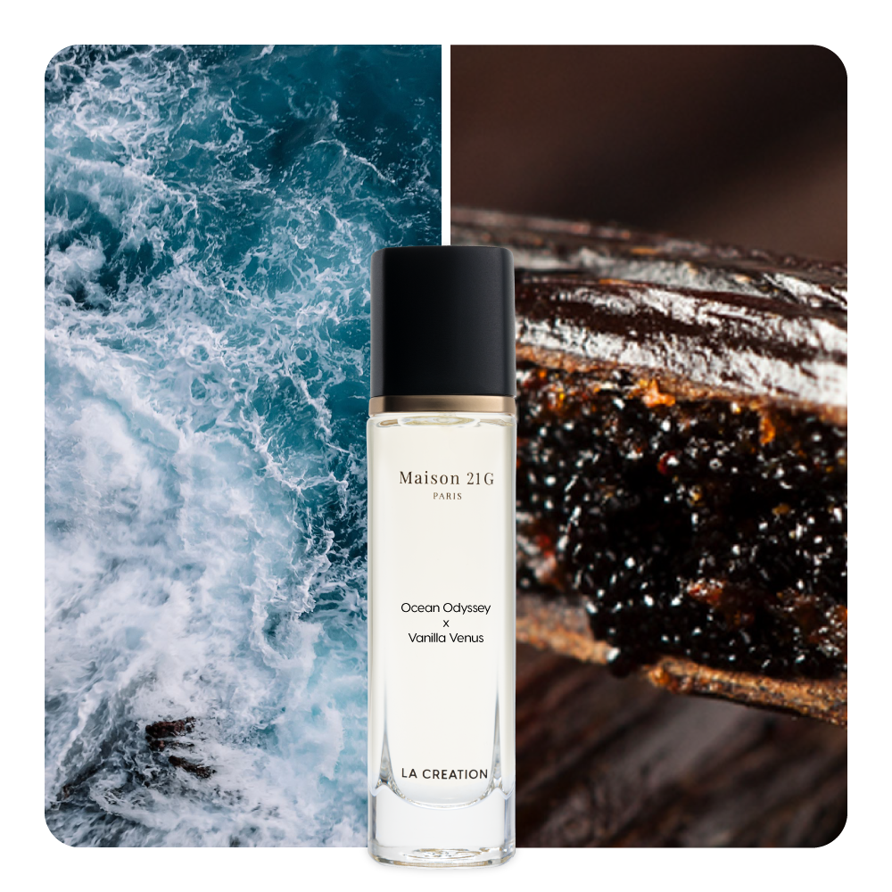 Nước hoa Ocean Odyssey x Vanilla Venus