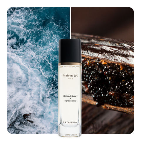 Nước hoa Ocean Odyssey x Vanilla Venus
