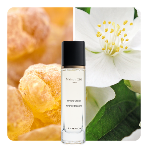 Nước hoa Ombre Oliban x Orange Blossom