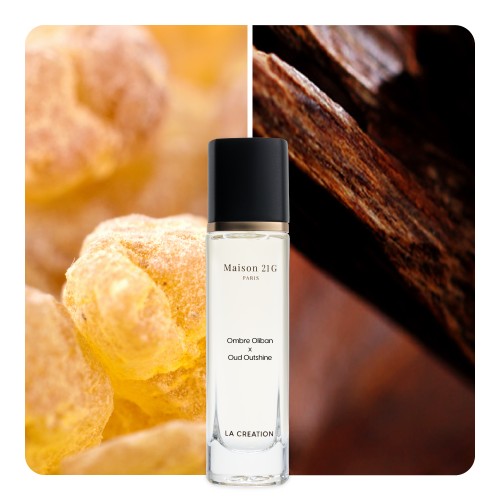 Nước hoa Ombre Oliban x Oud Outshine