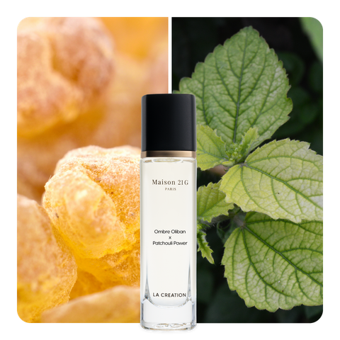 Nước hoa Ombre Oliban x Patchouli Power