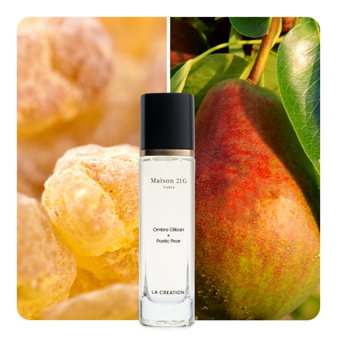 Nước hoa Ombre Oliban x Poetic Pear
