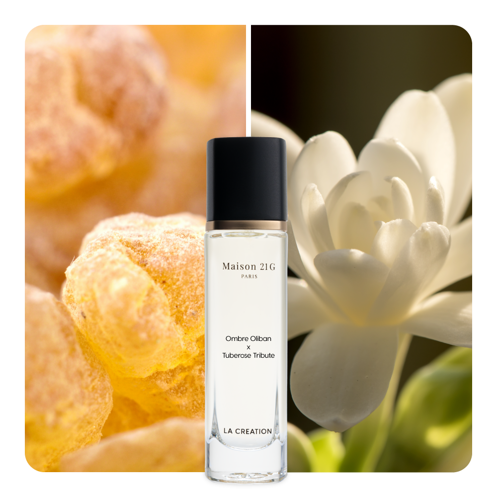 Nước hoa Ombre Oliban x Tuberose Tribute