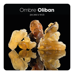 Nước hoa Ombre Oliban