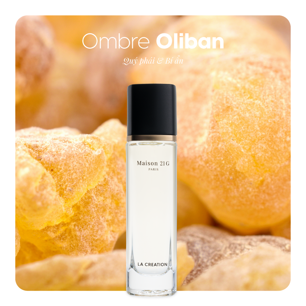 Nước hoa Ombre Oliban