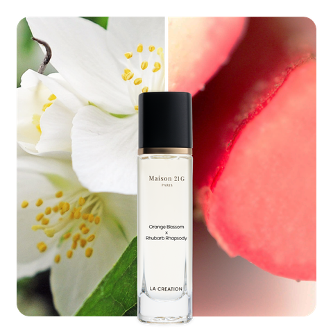 Nước hoa Orange Blossom x Rhubarb Rhapsody