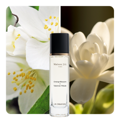 Nước hoa Orange Blossom x Tuberose Tribute