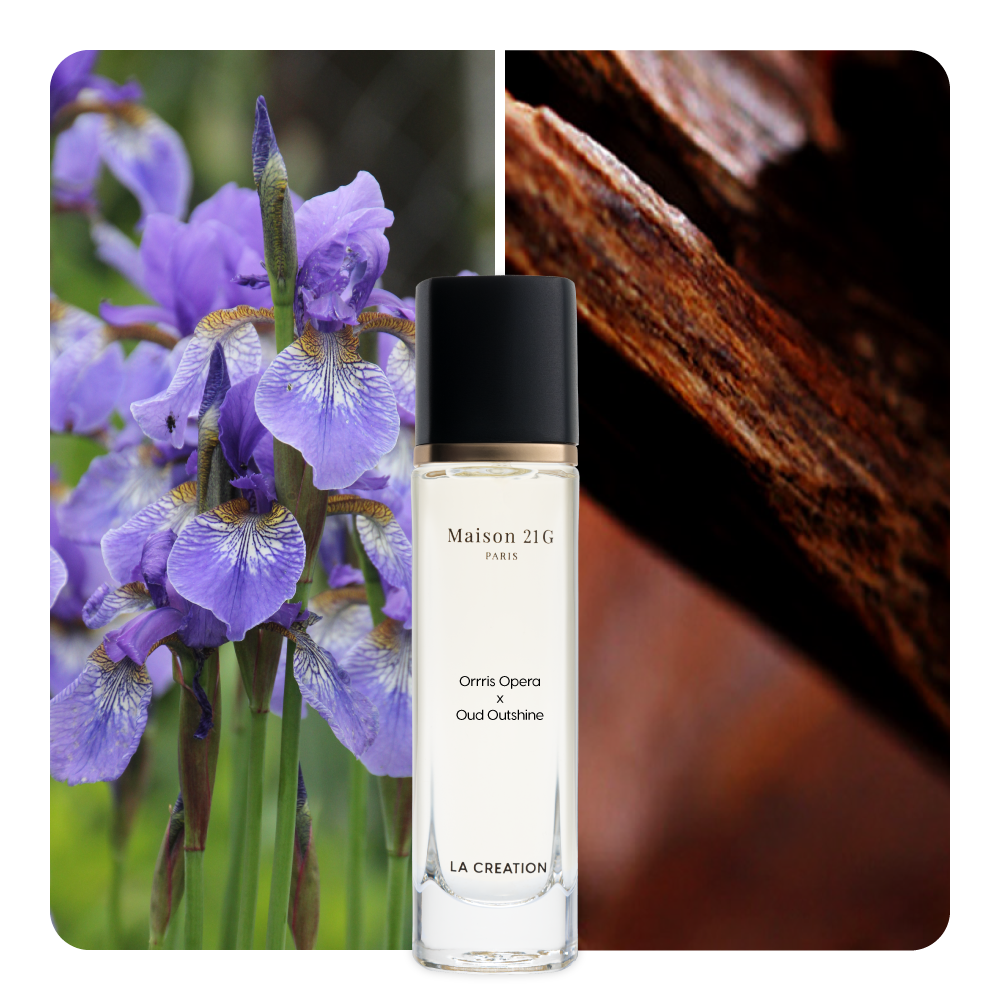 Nước hoa Orris Opera x Oud Outshine