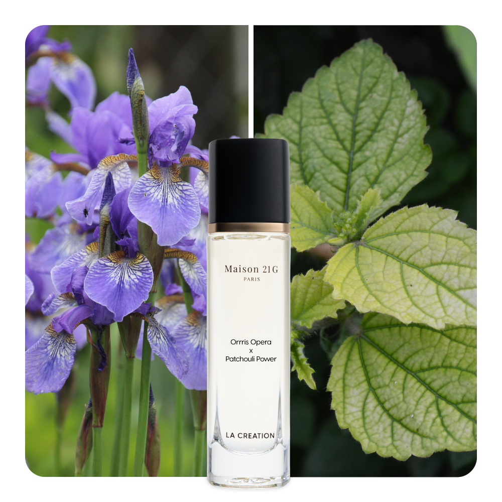 Nước hoa Orris Opera x Patchouli Power