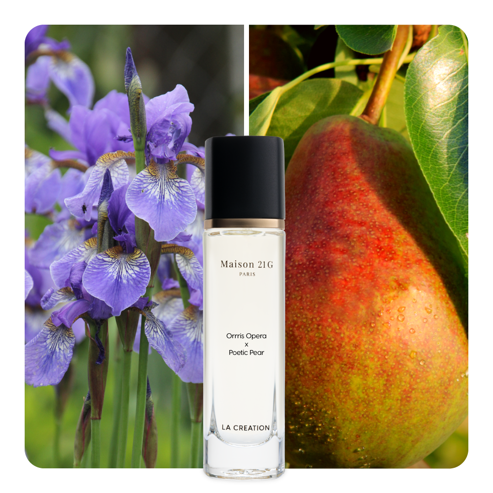 Nước hoa Orris Opera x Poetic Pear