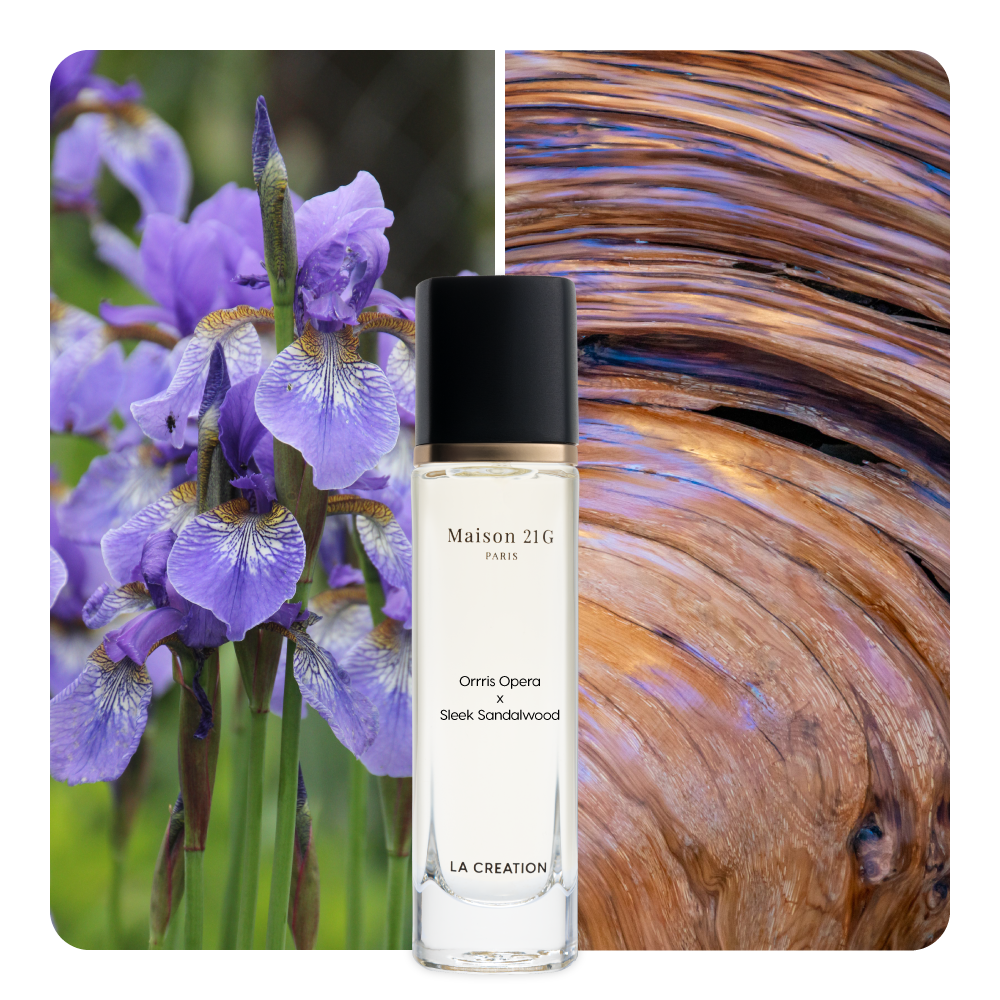 Nước hoa Orris Opera x Sleek Sandalwood