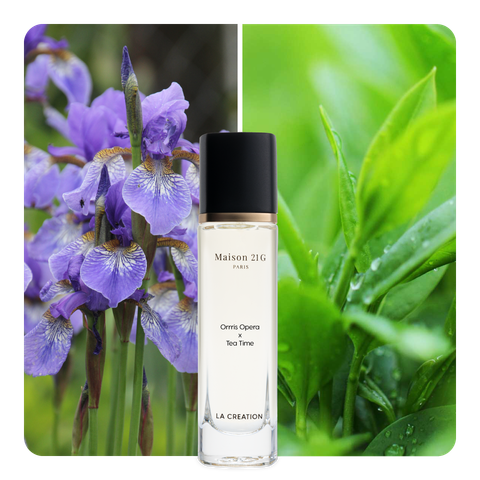 Nước hoa Orris Opera x Tea Time