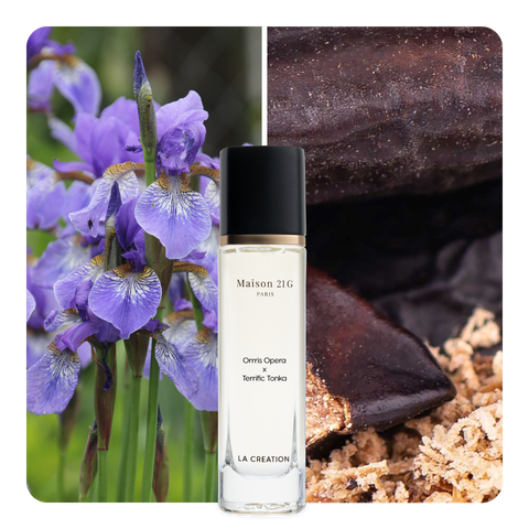 Nước hoa Orris Opera x Terrific Tonka