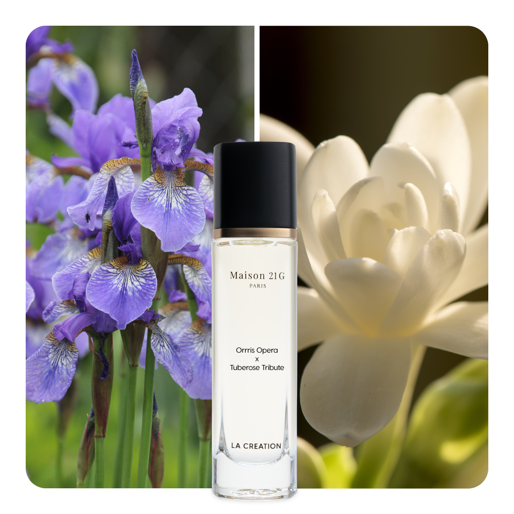 Nước hoa Orris Opera x Tuberose Tribute