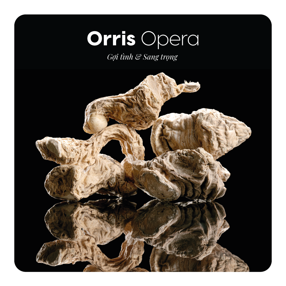 Nước hoa Orris Opera