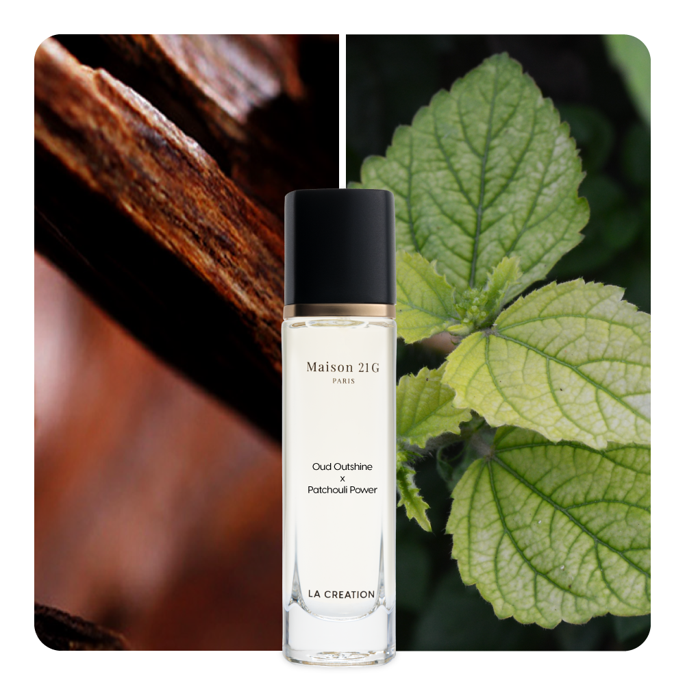 Nước hoa Oud Outshine x Patchouli Power