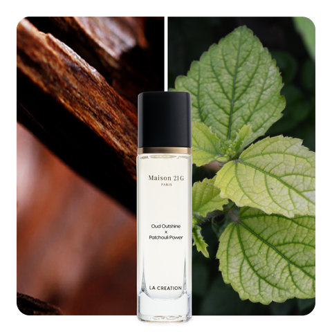 Nước hoa Oud Outshine x Patchouli Power