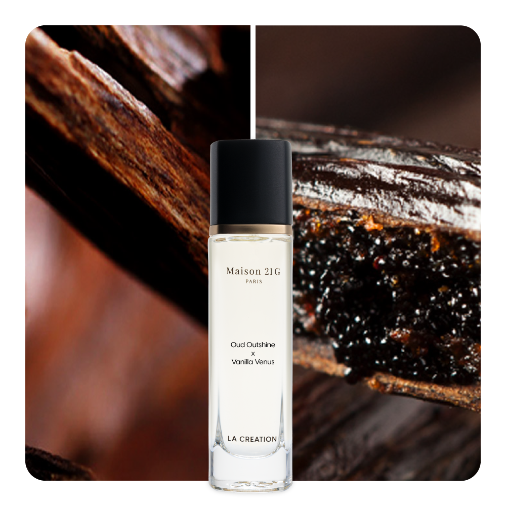 Nước hoa Oud Outshine x Vanilla Venus
