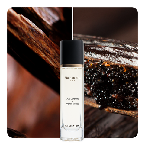 Nước hoa Oud Outshine x Vanilla Venus