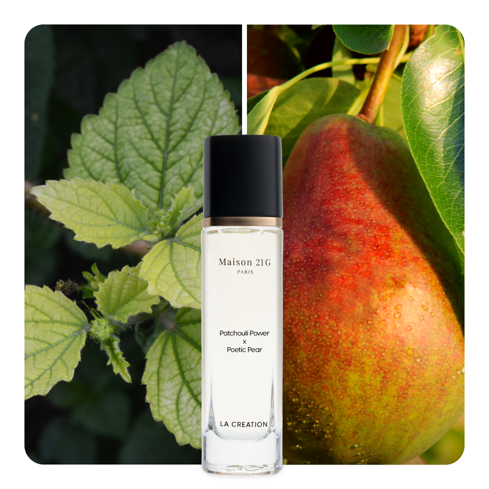 Nước hoa Patchouli Power x Poetic Pear
