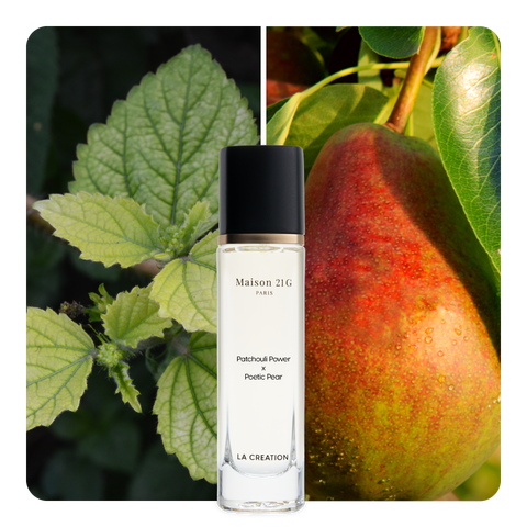 Nước hoa Patchouli Power x Poetic Pear