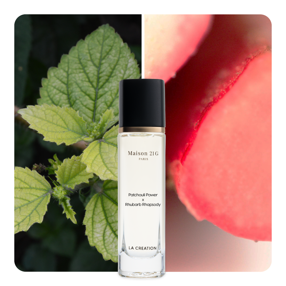 Nước hoa Patchouli Power x Rhubarb Rhapsody